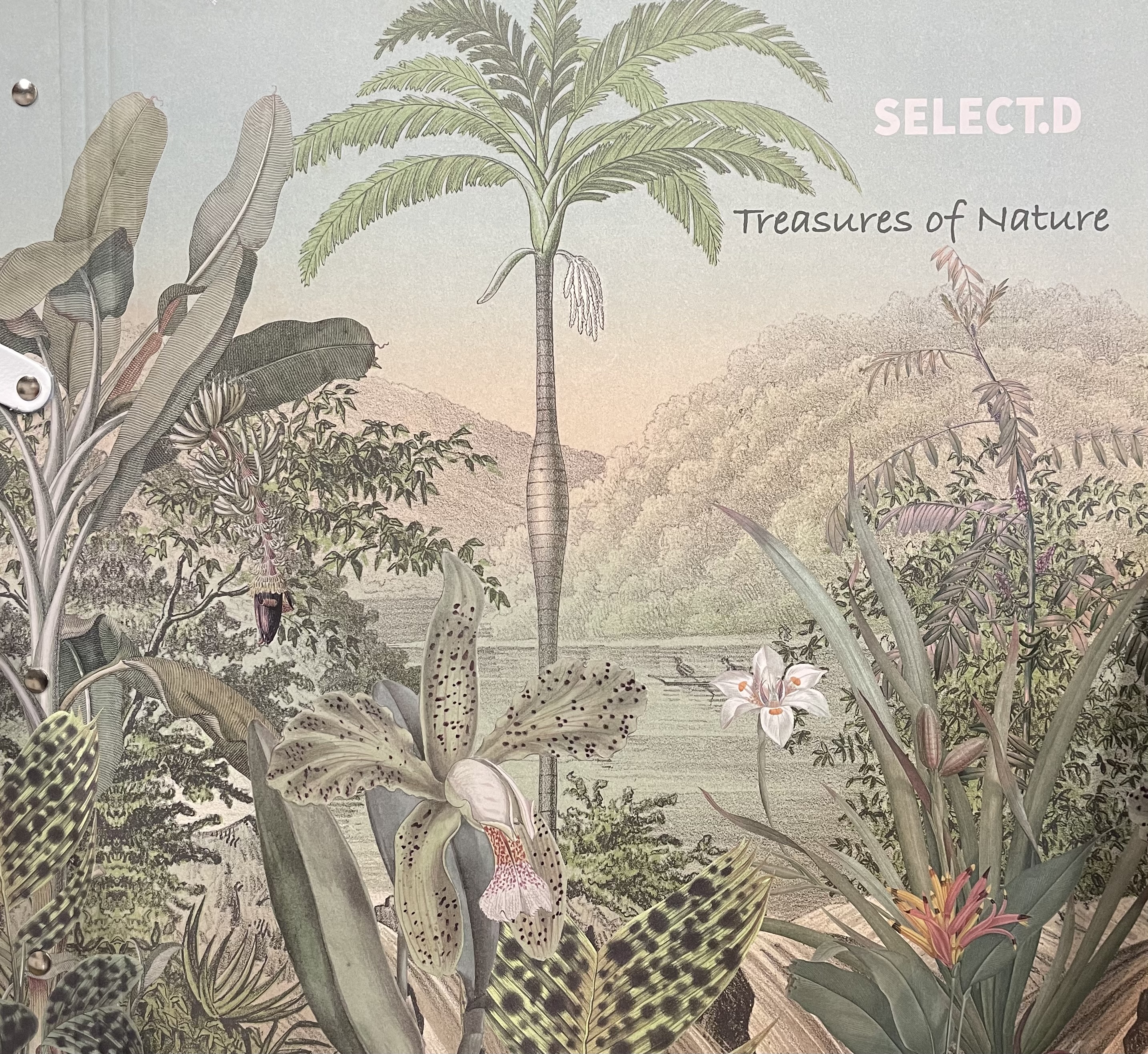 Tapete - Treasures of Nature