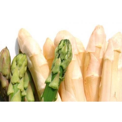 Asparagus L