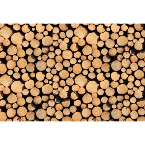AP Digital Stack of Wood 113