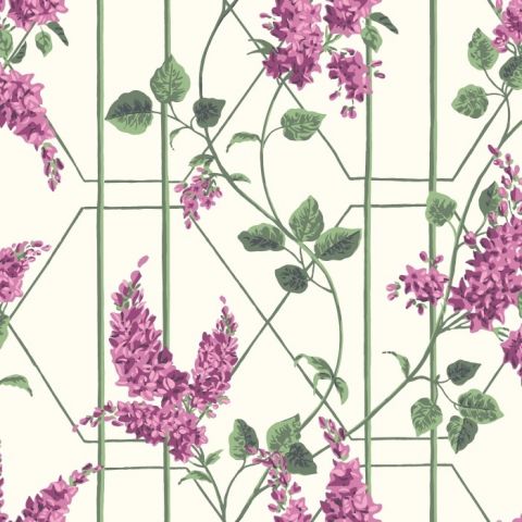 Cole & Son Botanical ~Botanica~ Wisteria Wisteria Floribunda 115/5013