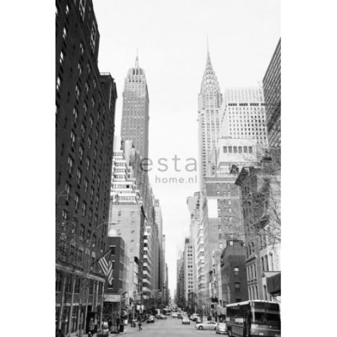 Esta XL Photowalls New York Street View 157706