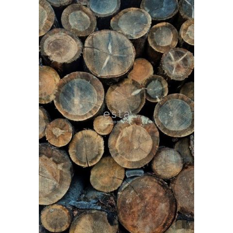 Esta Home Greenhouse 143-158206 Wood logs