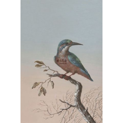 Esta Home Blush Kingfisher 158888