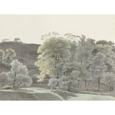 Esta Home Blush Landscape Drawing 158892