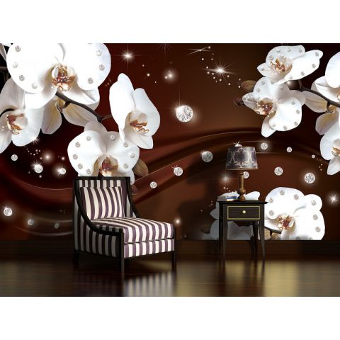BWS Diamond Orchids