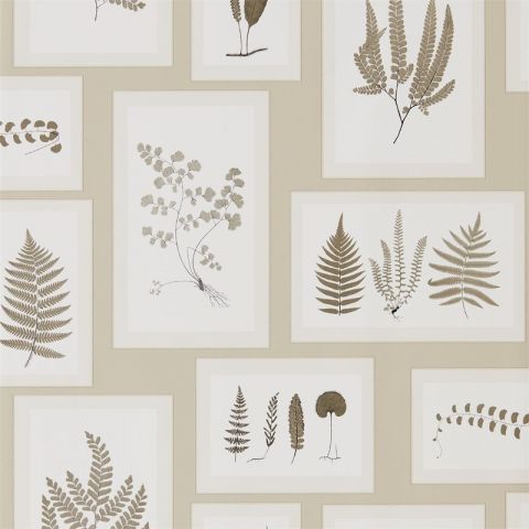 Sanderson Woodland Walk - Fern Gallery Linen/Sepia 215714