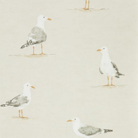 Sanderson Port Isaac Shore Birds Gull 216563