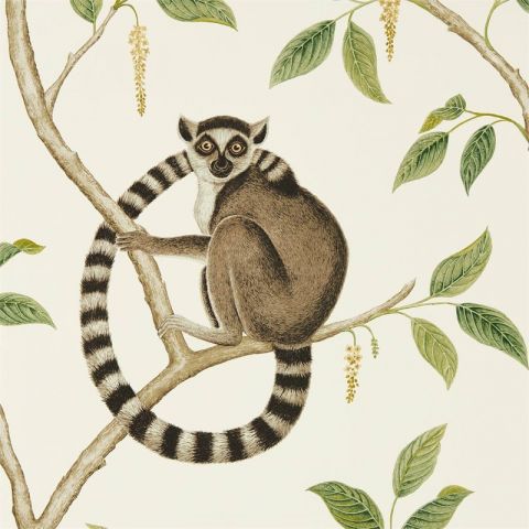 Sanderson The Glasshouse Ringtailed Lemur Cream/Olive 216664