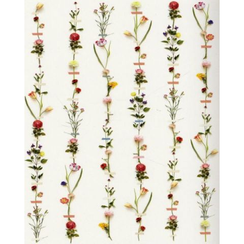 Pip Studio III fototapete Flower Garland 341087