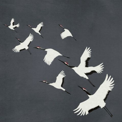 Origin Natural Fabrics - Cranes Slate Grey 357235
