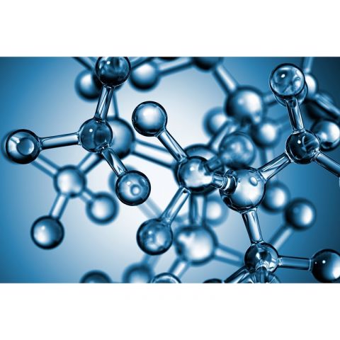 AP Digital II Molecular Structure 469