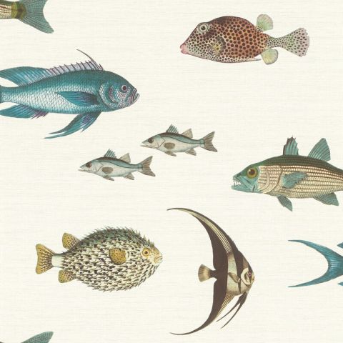 Studio Onszelf Stories - Sea Fish 553529