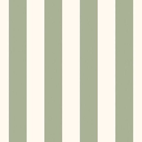 DWD Fiona Stripes@HOME 580333