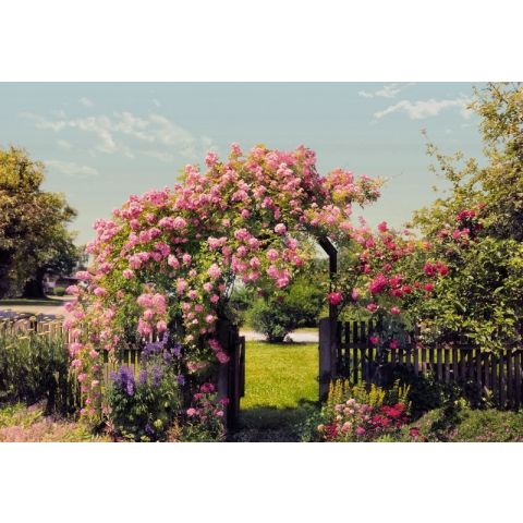 Komar Rose Garden  8-936