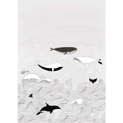 Studio Onszelf - Stories - Whales Gray