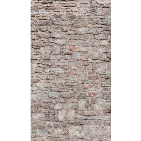 Dutch Wallcoverings One Roll One Motif - Castle Wall A51701