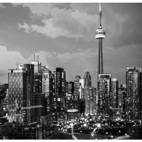 City Love Toronto Black & White