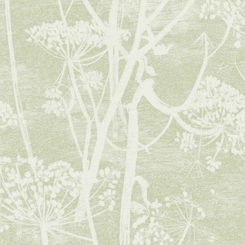 Cole & Son Icons Cow Parsley 112/8029
