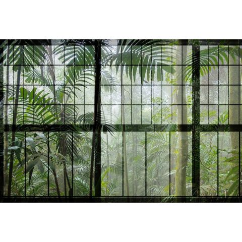 Walls by Patel II Rainforest 1