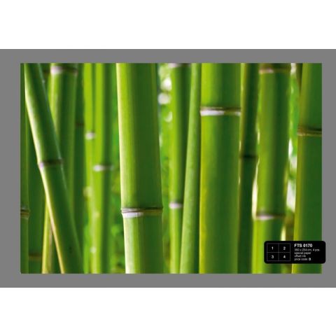 Bamboo FTS 0170