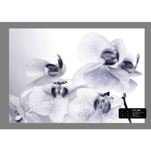 Black/White Orchid FTS 1306