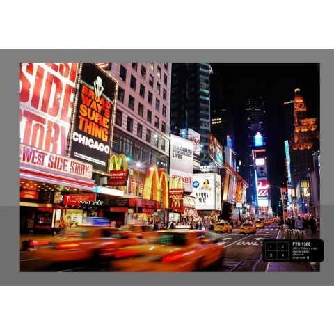 Times Square FTS 1308