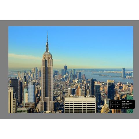 Empire State Building FTS 1309
