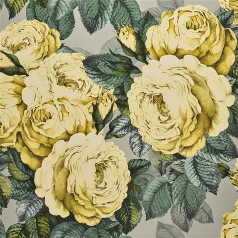 John Derian Picture Book Wallpapers - The Rose PJD6002/05