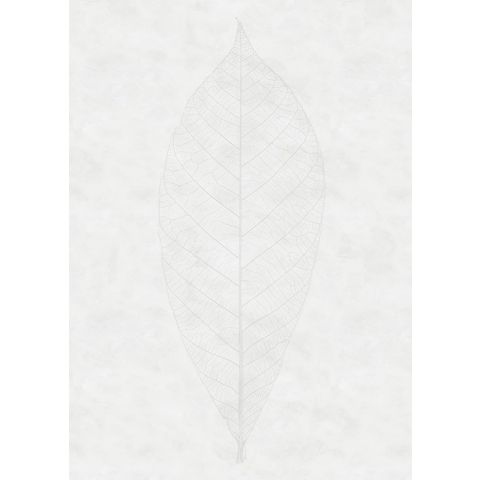 Komar RAW - Decent Leaf R2-012