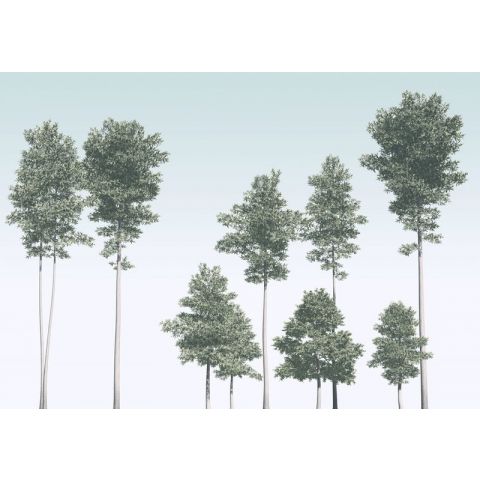 Komar RAW - Pines R4-040