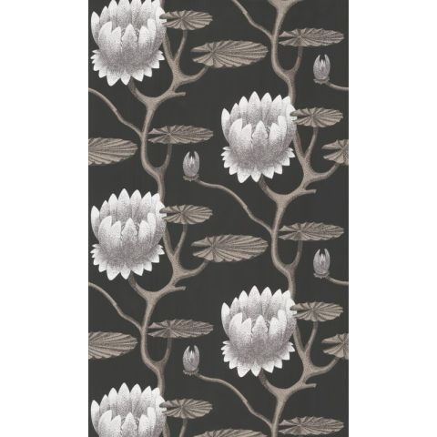Cole & Son Contemporary  Restyled - Summer Lily 95/4026