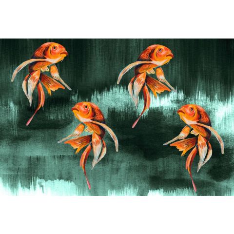 Catchii Koi Fish Art W200064